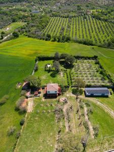 une vue aérienne sur une ferme avec une maison dans un champ dans l'établissement L'Oasi della Fonte, à Albanella