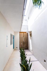 Fotografie z fotogalerie ubytování Hotel Siesta Holbox v destinaci Ostrov Holbox