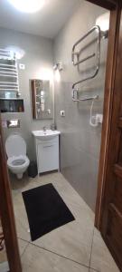 a bathroom with a toilet and a sink and a shower at Apartamenty z ogrodem nr 3 studio z tarasem in Mrągowo