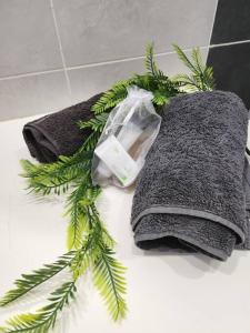 a bathroom with two towels and a plant on the floor at Villa Marilou - Les pieds dans l'eau in Quartier du Fond Fleuri