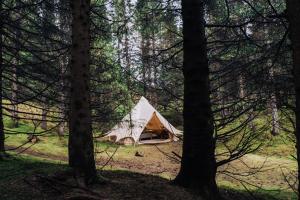 une tente blanche au milieu d'une forêt dans l'établissement Golden Circle Tents - Glamping Experience, à Selfoss