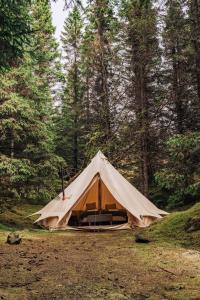 une grande tente au milieu d'une forêt dans l'établissement Golden Circle Tents - Glamping Experience, à Selfoss