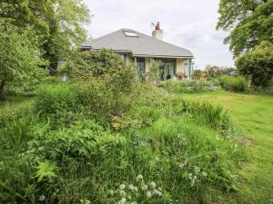 een tuin voor een huis met hoog gras bij Hill Brow in Acton Scott
