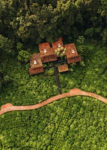 an overhead view of a building in a forest at One&Only Nyungwe House in Rwumba