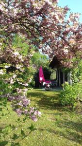un árbol con flores rosas delante de una casa en Appartement Entre Lacs Et Montagnes, en Habère-Lullin