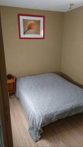 een slaapkamer met een bed en een foto aan de muur bij Petite dépendance in Isneauville