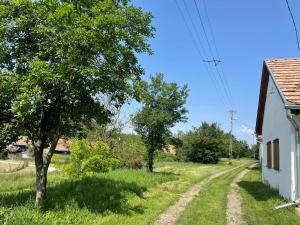 a dirt road next to a house and trees at NAPOCSKA Vendégház in Kisjakabfalva