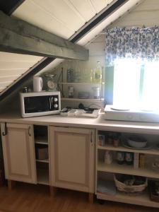 a kitchen with a counter with a microwave and a window at Stabbur Steinbekken, back to basic primitive overnight in Eidsvoll