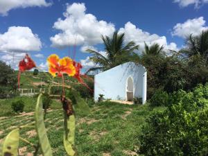 ein kleines weißes Gebäude auf einem Feld mit Palmen in der Unterkunft Recanto do Ipês in Garanhuns