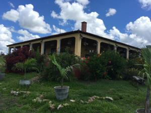 ein Haus mit einer Palme davor in der Unterkunft Recanto do Ipês in Garanhuns