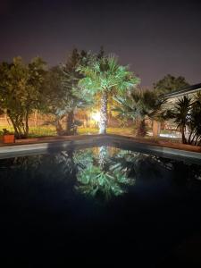 Gallery image of Etna Petit Relais in Nicolosi