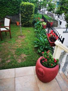 Garden sa labas ng Apartments Vila Andja