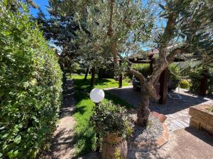 Κήπος έξω από το B&B Casa Vigne