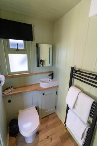 a bathroom with a toilet and a sink at The Shire Luxury Converted Horse Lorry with private hot tub Cyfie Farm in Llanfyllin