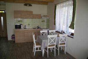 - une cuisine et une salle à manger avec une table et des chaises dans l'établissement Apartmány u Olšinské kapličky, à Horní Planá