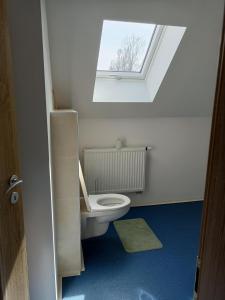 La salle de bains est pourvue de toilettes blanches et d'une lucarne. dans l'établissement Apartmány u Olšinské kapličky, à Horní Planá