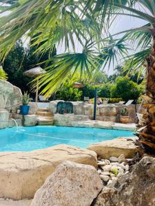 a swimming pool with rocks and a palm tree at The Red Farm Relais & Spa in LʼInglin