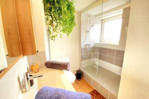 e bagno con doccia, servizi igienici e lavandino. di Cocon à Deux Pas des Arènes - Charme & Confort a Nîmes