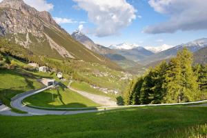 un camino sinuoso en un valle de montaña con montañas cubiertas de nieve en Dolce Casa vicino a Bormio en SantʼAntonio