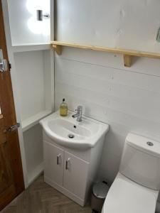 Bowhayes Farm - Camping & Glamping - Bell Tents - Cider Orchard的一间浴室