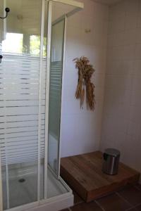 a shower with a glass door in a bathroom at EL MOLINO De Villel in Villel