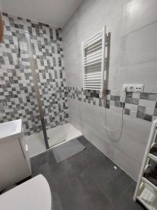 La salle de bains est pourvue d'une douche, de toilettes et d'un lavabo. dans l'établissement Macarena´s Home *Sea view*-Saltillo Alto, à Torremolinos