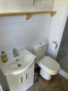 Bowhayes Farm - Camping & Glamping - Bell Tents - Cider Orchard的一间浴室