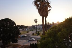 Blick auf eine Straße mit Palmen und Autos in der Unterkunft Rua das Arcadas do Parque 52 in Estoril