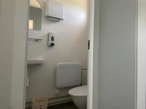 ein weißes Bad mit einem WC und einem Spiegel in der Unterkunft WOMOCAMP Holzhütte 2 in Saulkrasti