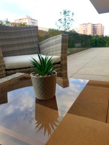 a potted plant sitting on a table on a patio at Plaza Residence in Braşov