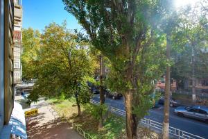 - une vue sur une rue de la ville avec un arbre dans l'établissement Sun in the City Center, à Kherson