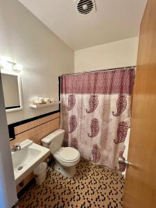 a bathroom with a toilet and a sink and a shower curtain at Lenox Hotel and Suites in Buffalo