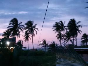 a group of palm trees at sunset at Casas Bennu Preá in Prea