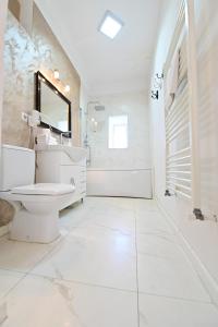 a bathroom with a toilet and a sink and a tub at Anna's Guest House in Sibiu