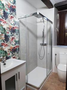 a bathroom with a shower with a sink and a toilet at Apartamentos LLave de Santillana in Santillana del Mar