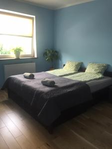 een slaapkamer met een bed met 2 kussens en een raam bij Apartament Głowackiego 8 in Gdynia