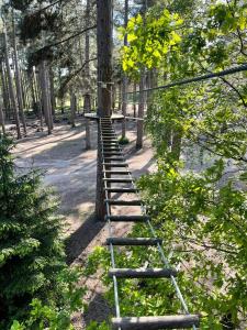 a set of wooden steps around a tree at Princely House Corporate, business & family Home in Mansfield