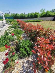 a garden with flowers and plants in a yard at Apartments Lea with pool in Malinska