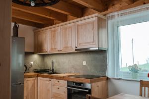 Kuchyň nebo kuchyňský kout v ubytování Apartmaji Gračner