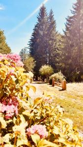 Κήπος έξω από το Domaine du Pré-Saint-Georges