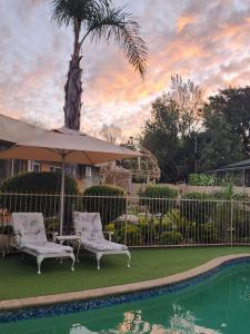 a pool with two chairs and an umbrella and a palm tree at Villa Rose Cottages in Bloemfontein
