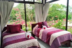 2 letti in una camera con finestra di Amazing Villa at Lake Arenal 2 a Tronadora