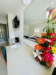 TV a/nebo společenská místnost v ubytování Hotel Plaza Caribe