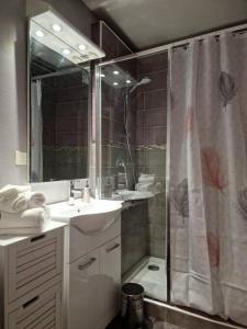 a bathroom with a shower and a sink and a shower curtain at Superbe appartement 2 pièces - Aix-les-Bains Riviera des Alpes - Parking gratuit in Aix-les-Bains