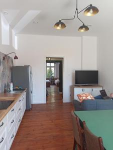 uma cozinha e sala de estar com um sofá azul em Apartament PAPROTKA 100m em Legnica