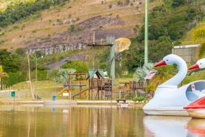 two swans sitting on the water near a playground at Castelo de Itaipava - Hotel, Eventos e Gastronomia in Itaipava