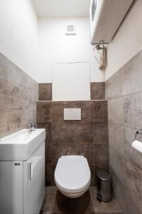 łazienka z toaletą i umywalką w obiekcie Apartmán Jabloňová w mieście Chrudim