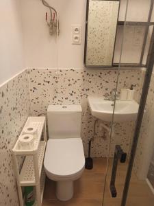 małą łazienkę z toaletą i umywalką w obiekcie Apartament PAPROTKA 100m w mieście Legnica
