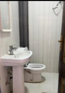 La salle de bains est pourvue d'un lavabo et de toilettes. dans l'établissement مزرعة السمو, à Baljurashi