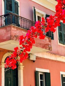 Banda czerwonych kwiatów wiszących na balkonie w obiekcie Villa Maria 1 w mieście Liapades